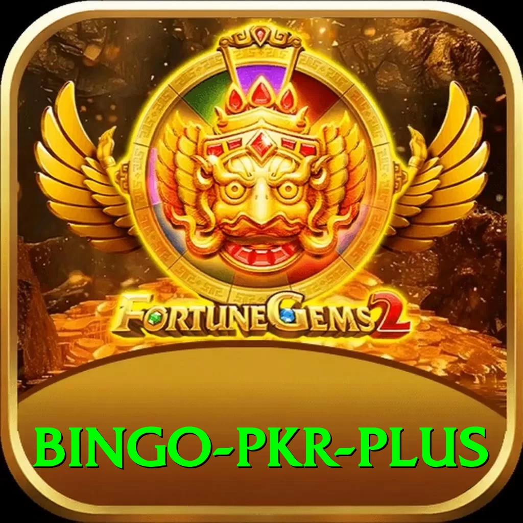 Bingo PKR VIP - 2