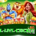 bpl live cricket Money Turbo v5.6.6