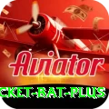cricket bat Earn Premium v3.5.1
