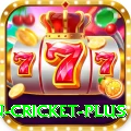 fastest ball in cricket VIP Jackpot