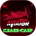 grass carp Ultimate Rewards
