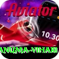 hanuma vihari - Deluxe Earning App
