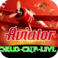 icc world cup live Games Champion