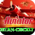 india pakistan cricket - Supreme v1.5.5