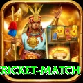 india pakistan cricket match - Prime Edition v3.0.0