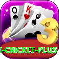india pakistan cricket Slot Machine Ultimate