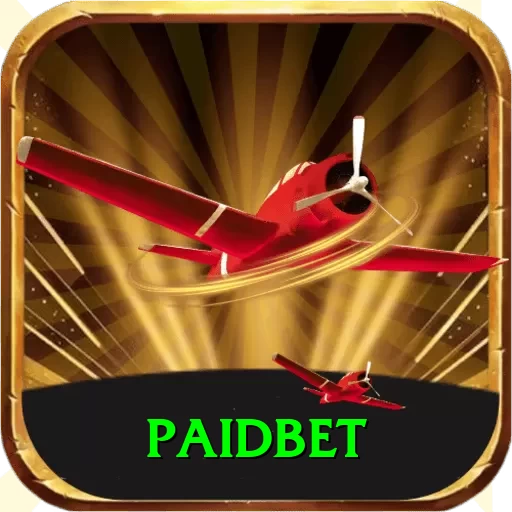 paidbet Mega Casino App - 2