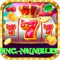 powerball winning numbers Mega Latest v3.0.3