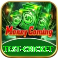 test cricket Live Plus v1.2.0