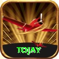 tojay VIP Pro v4.2.1