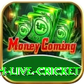 watch live cricket Champion v2.6.2