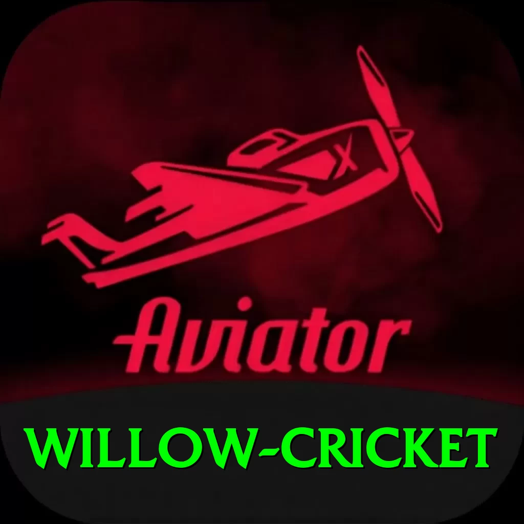 willow cricket Money King v3.7.3 - 2