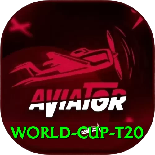 world cup t20 VIP 2024 - 2